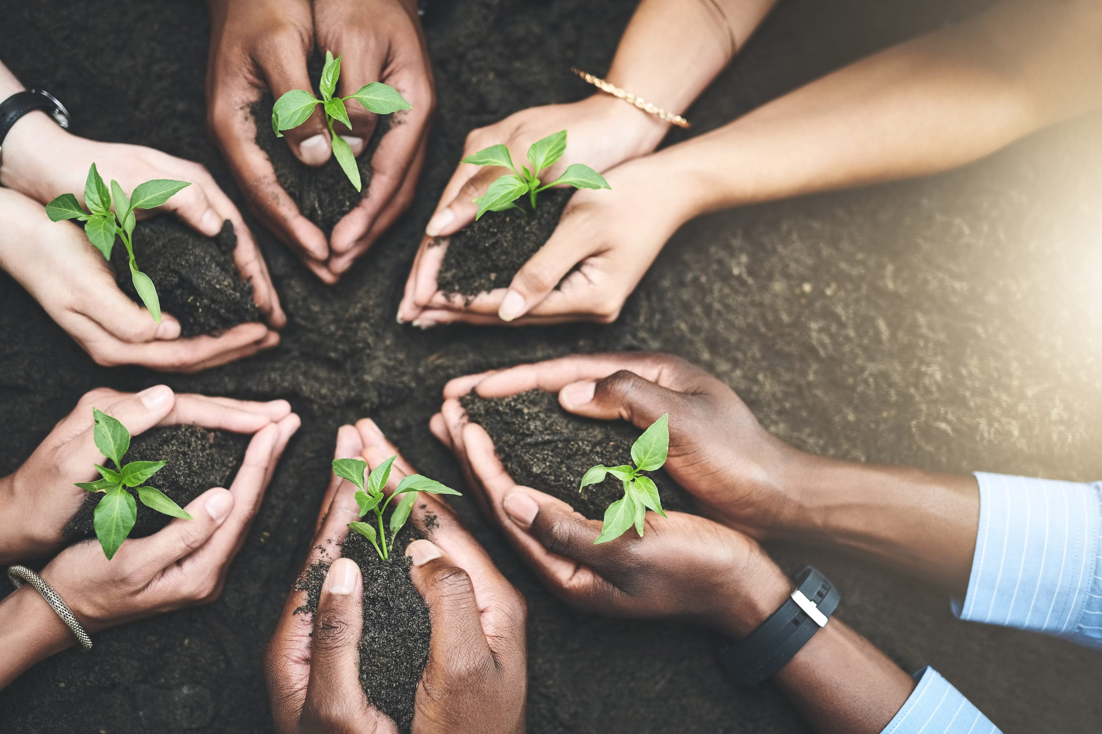 Building Value Beyond the Contract